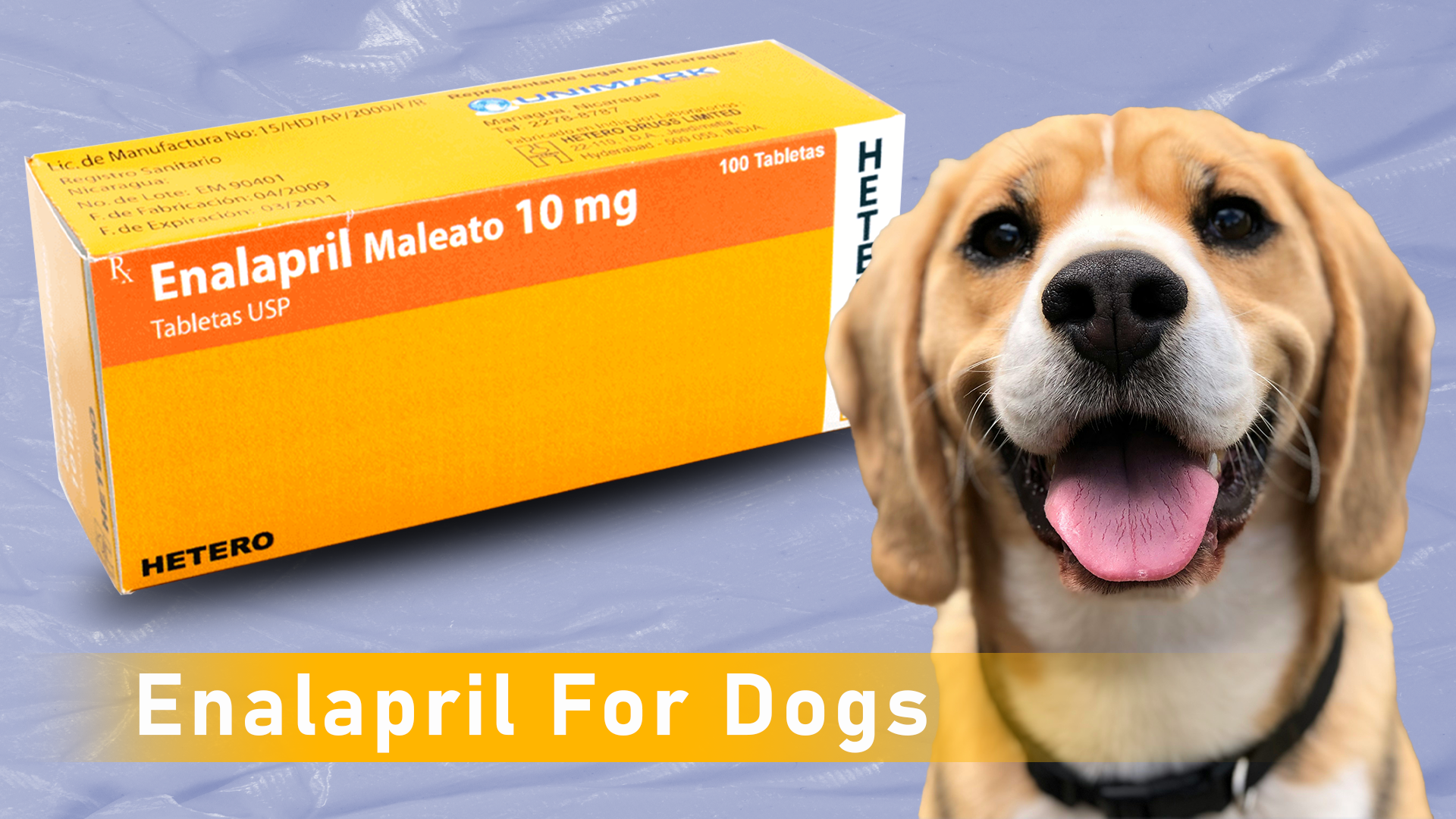 Enalapril for dogs: 7 important things to know